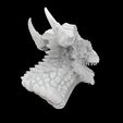 dragon1.5.jpg Dragon Head 3D Print Model 3D print model