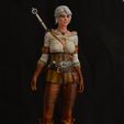 DSC_8613.jpg Ciri from the witcher game