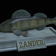 Zander-statue-19.png fish zander / pikeperch / Sander lucioperca statue detailed texture for 3d printing