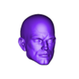 318. Lex Luthor Normal.stl Lex Luthor Fan Art Head 3D printable File