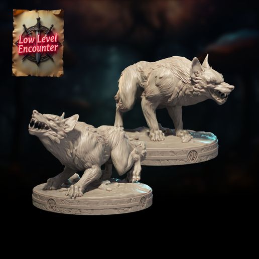 LLE_June_08.jpg Chacales resplandecientes