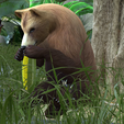 0_00028.png Bear DOWNLOAD Bear 3d model - animated for blender-fbx-unity-maya-unreal-c4d-3ds max - 3D printing Bear Bear