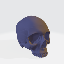 Skullv6.png Free STL file Skull・3D printer model to download