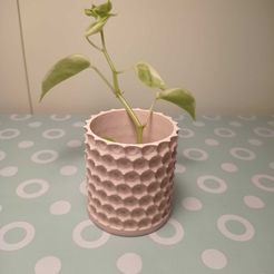 356a44f7-7828-4225-8cef-1880011c0b37.jpg Maceta Lunar/Lunar Planter