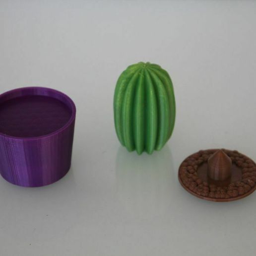 cactus2.jpg Kaktus, einfacher Druck, keine Unterstützung erforderlich