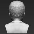 nelson-mandela-bust-ready-for-full-color-3d-printing-3d-model-obj-mtl-fbx-stl-wrl-wrz (28).jpg Nelson Mandela bust 3D printing ready stl obj