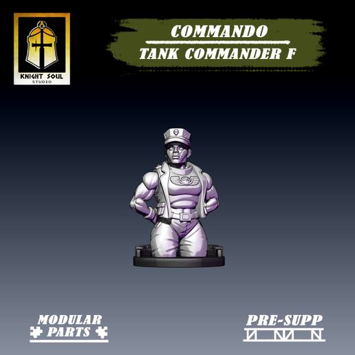 Cdo-Tank-CF-7.jpg Командир танка коммандос F