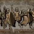Nubian-Spearmen.jpg New Kingdom of Egypt Army Pack (+40 models). 15mm and 28mm pressupported STL files.