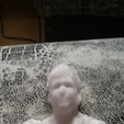 image.png Bust (3D Scan)