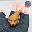 403641154_299215903105549_1186235140651862352_n.jpg Baby Dog and Cat Flexi Keychains (Set of 8.)