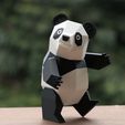 _MG_9548.jpg Panda