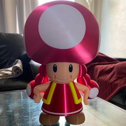Toadette from Mario games - Multi-color
