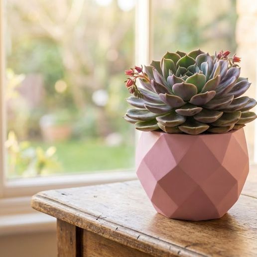 Modern Geometric Faceted Succulent Planter - Low Poly Design