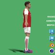 Trossard_3.jpg 3D Rigged Leandro Trossard Arsenal 2024