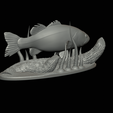bass-na-podstavci-18.png bass 2.0 underwater statue detailed texture for 3d printing