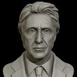 03.jpg 3D Portrait sculpture of Al Pacino 3D print model