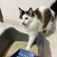 WhatsApp-Image-2024-07-06-at-12.01.06.jpeg Cat litter scoop