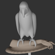 Parrot7.png Papagaio
