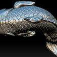 A10.jpg Koi Fish 3D print model