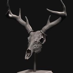 Main.png Deer skull with stand