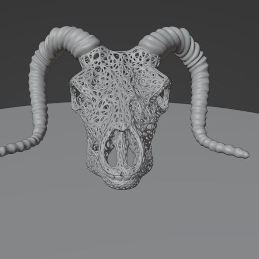 Skull_01.jpg STL-Datei Filigraner Ziegen- oder Bergschaf-Schädel mit Horn・3D-druckbare Vorlage zum herunterladen, abhijitraja