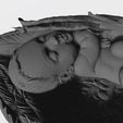 18.jpg NEWBORN BABY SLEEPING ON THE WINGS 3D print model