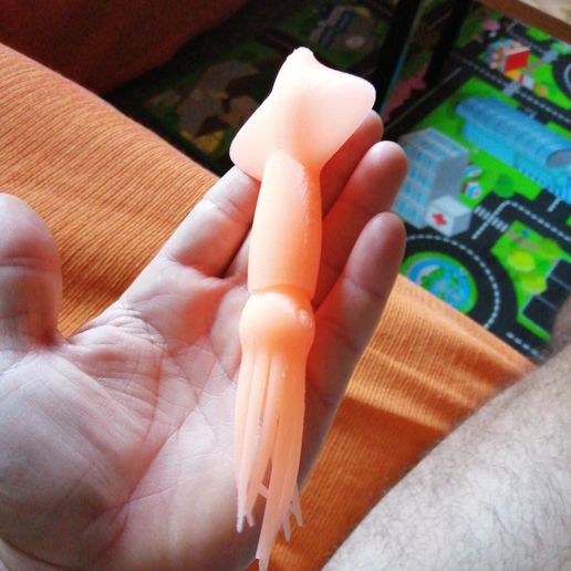 WhatsApp-Image-2021-12-05-at-09.41.12-3.jpeg squid