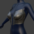 Screenshot-2026-04-29-014258.png Laced Steel Breast Plates