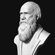 03.jpg Charles Darwin portrait sculpture 3D print model