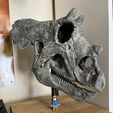 Skeleton of baby Triceratops Part01/07