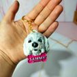 WhatsApp-Image-2023-08-01-at-15.16.19.jpeg POODLE DOG KEYCHAIN WITH TAG