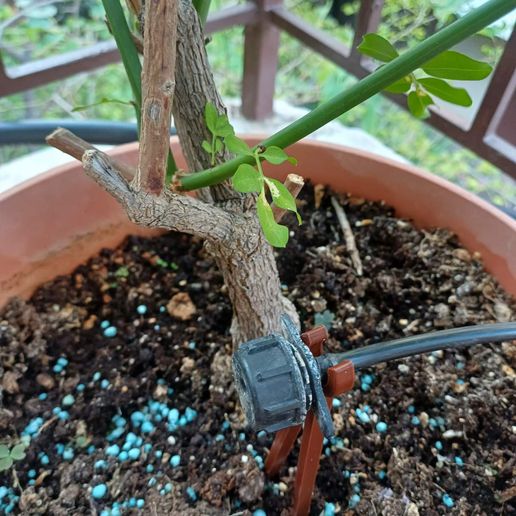 viber_image_2024-09-22_21-05-07-091.jpg Sprinklerhalterung