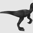 View4.jpg Raptor Dinosaur 3D Model