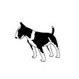 Artboard-1-100.jpg Bullterrier, dog,dog