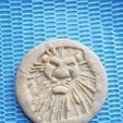 20190724_103504.jpg Lion King cookie cutter