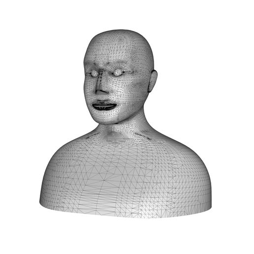 human.2.jpg Human 3d model