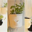 00c827044835d1a2cdcd890746311c17_display_large.jpg Self-Watering Planter