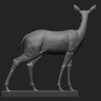12.png Deer