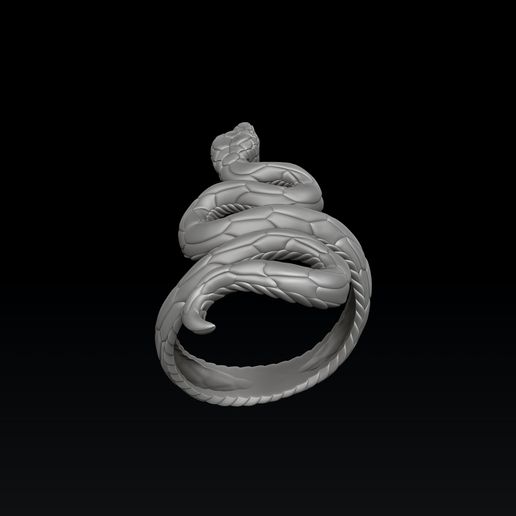 fed51we9et7rwr8sgfs23r.jpg Snake Ring v3 Hollowed 3D print model