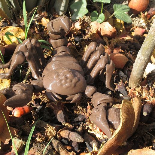 Escorpion 08.jpg Scorpion FLEXI