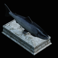 Salmon-statue-box-1-21.png fish sculpture of a Atlantic salmon / salmo salar with storage space / for 3d printing