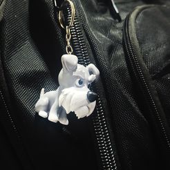 Schnauzer Cartoon Schlüsselanhänger