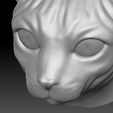 15.jpg Sphynx cat head for 3D printing