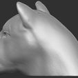 11.jpg Lioness head for 3D printing