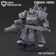 Eternus_Viking-00-Cover.jpg ETERNUS VIKING MULTIPART KIT