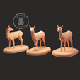 doe_all_logo.png Doe Miniatures Set