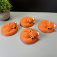 IMG_2827.jpg Sleeping Fox