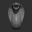 4.jpg Snake cobra