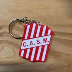 San-martin.jpg Datei STL Schlüsselanhänger san martin de tucuman・Design für 3D-Drucker zum herunterladen