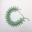 02.jpg CENTIPEDE